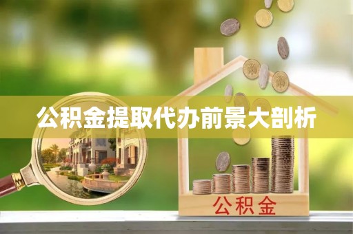 爱民公积金提取代办前景大剖析