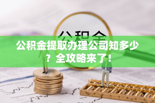 爱民公积金提取办理公司知多少？全攻略来了！