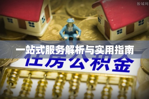 爱民一站式服务解析与实用指南